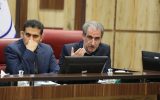 رشد ۱۵ درصدی تولید مرغ در ایلام؛ انبار کالاهای اساسی تکمیل است