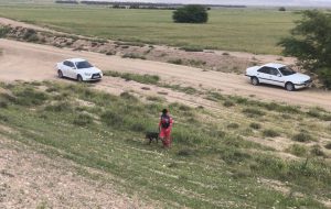 عملیات جستوجوی دو کودک گمشده دهلرانی همچنان ادامه دارد عملیات جستوجوی دو کودک گمشده دهلرانی همچنان ادامه دارد