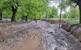 سیلاب‌های بهاره ۳۰ میلیارد تومان به عشایر ایلام زیان زد